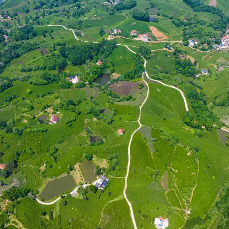 T-MOTOR T-HOBBY Velox V2812 Mo - Rc Hobby Tech ulasan dan harga